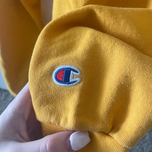 LSU MENS HOODIE - Picture 2 of 3